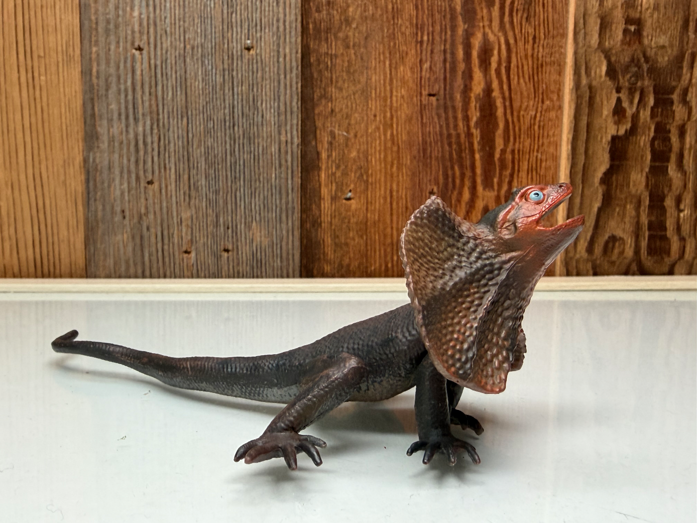 Papo Wild Life Kraaghagedis (50223)