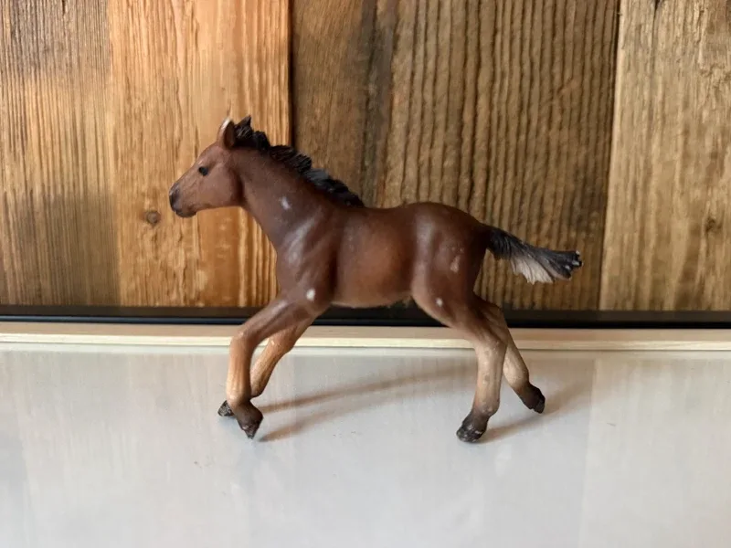Schleich Horse Club Mustang Veulen (13807)