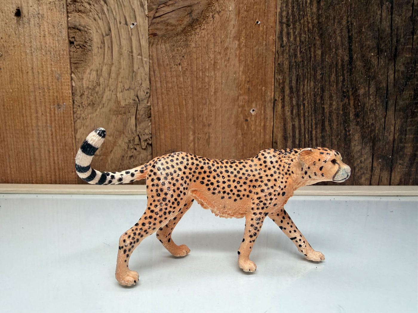 Schleich Wild Life Cheetah (14746)