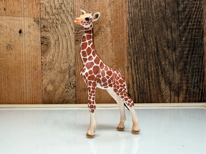 Schleich Wild Life Giraffe Kalf (14751)