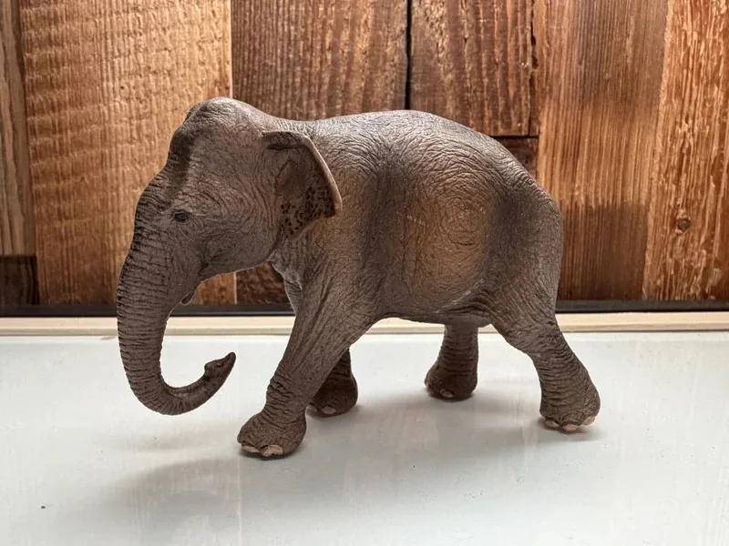Schleich Aziatische Olifant Vrouwtje
