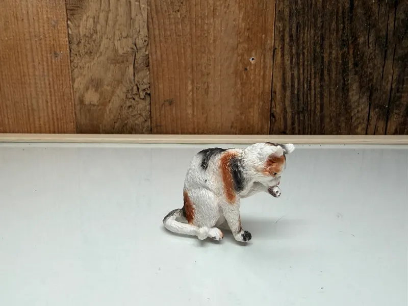 Schleich Wassende Kat