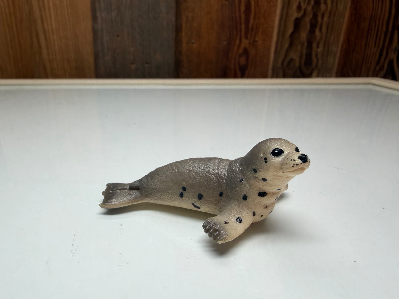 Schleich Zeehond Jong