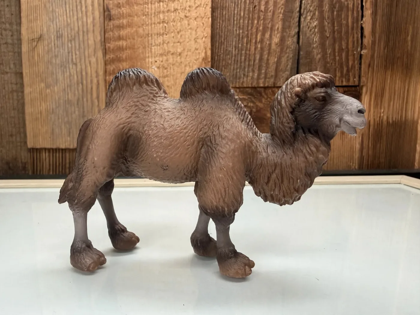 Schleich Kameel