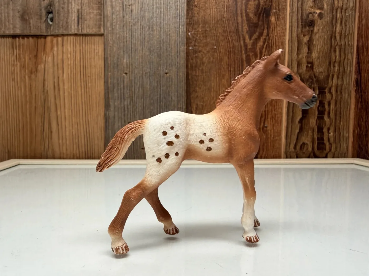 Schleich Horse Club Appaloosa Merrie (42433)