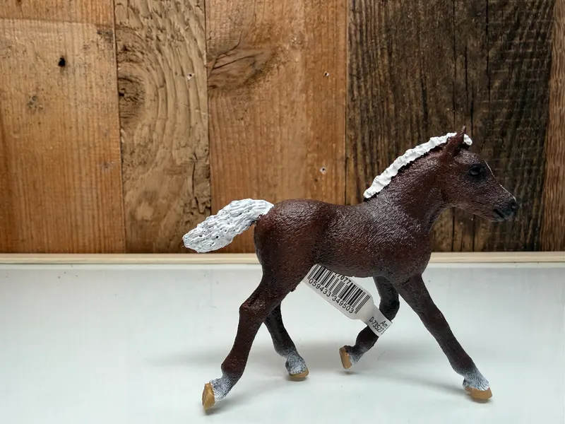 Schleich Horse Club Schwarzwalder Veulen (13899)