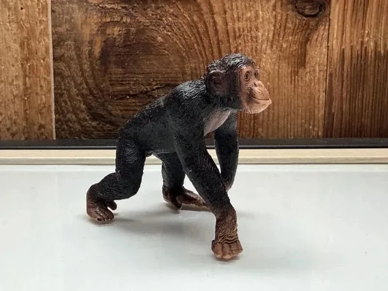 Schleich Wild Life Chimpansee (14883)