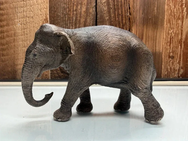 Schleich Aziatische Olifant Vrouwtje