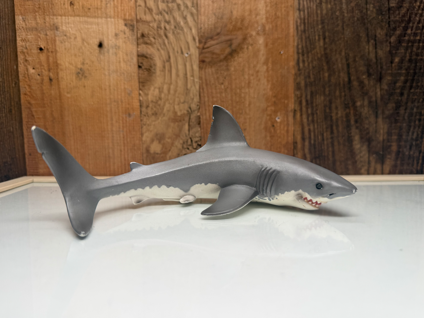Schleich Wild Life Grote Witte Haai (16092)