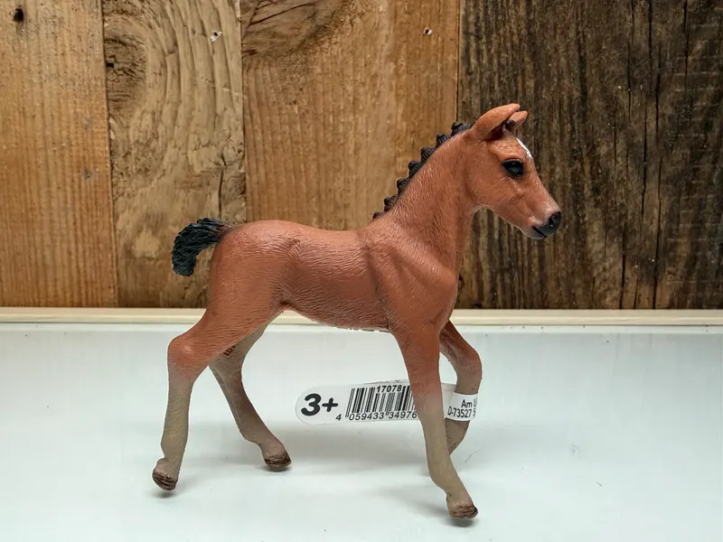 Schleich Horse Club Hannoveraan Veulen (13818)