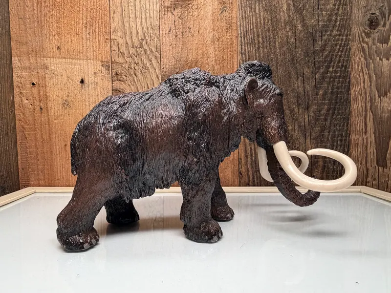 Merk Wild Life Mammoet Merkloos XXL (544545)