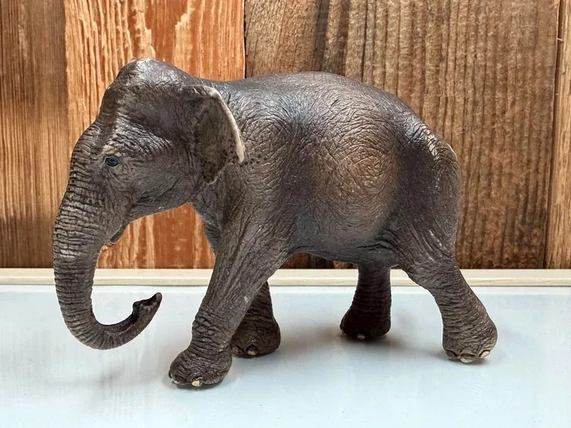 Schleich Aziatische Olifant Vrouwtje