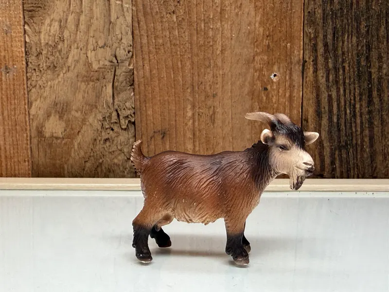 Schleich Dwerg Geit