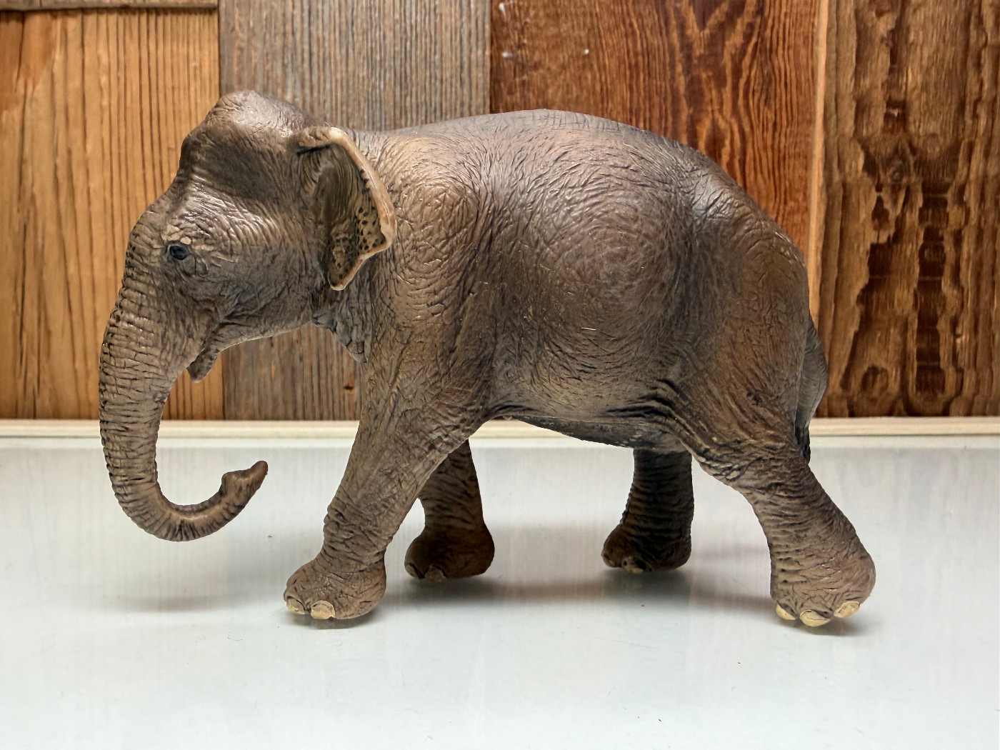 Schleich Aziatische Olifant Vrouwtje
