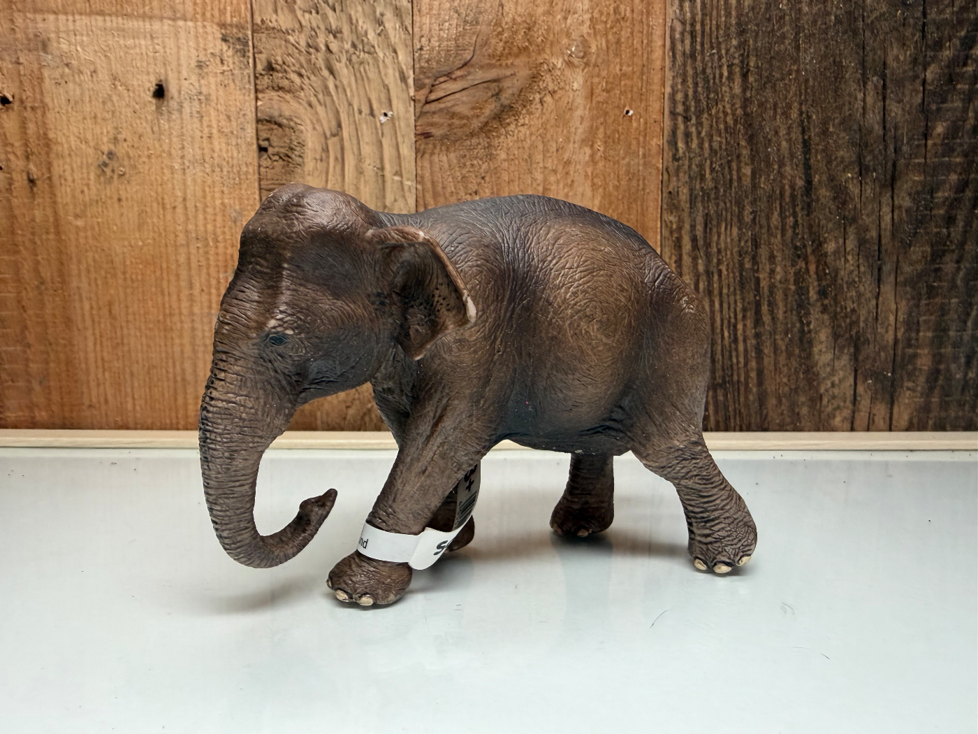 Schleich Wild Life Afrikaanse Olifant Koe (14762)