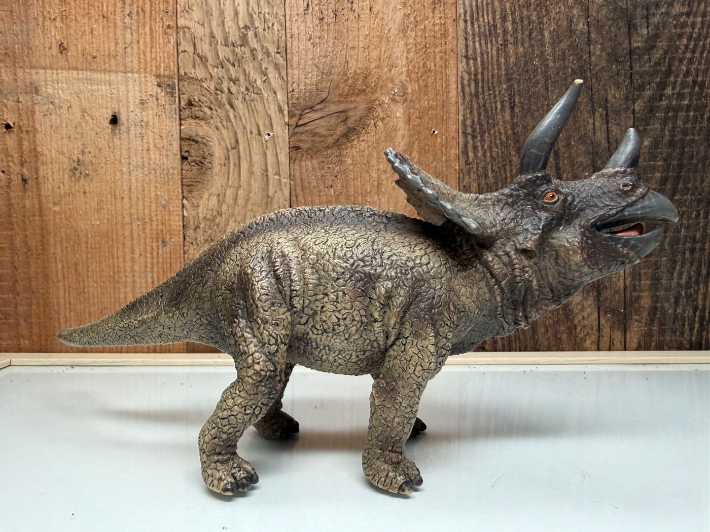 Schleich Dinosaurs Triceratops 2011 (16452)