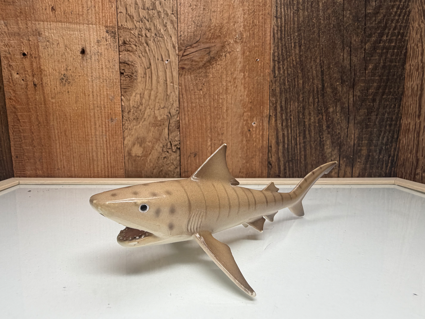 Schleich Wild Life Tijgerhaai Zeldzaam (14555)