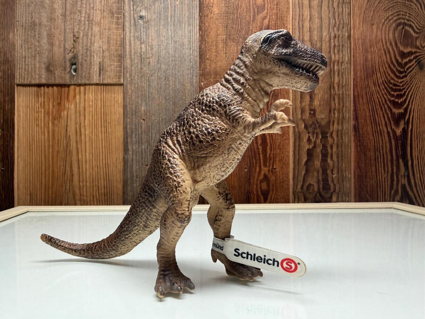 Schleich Dinosaurs Tyrannosautus Rex Klein (14502)