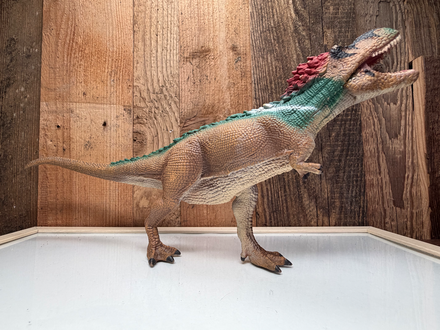 CollectA Dinosaurs Tyrannosaurus Rex (88838)
