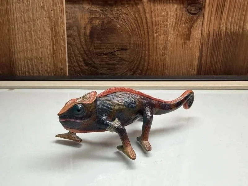 Schleich Wild Life Kameleon (14858)