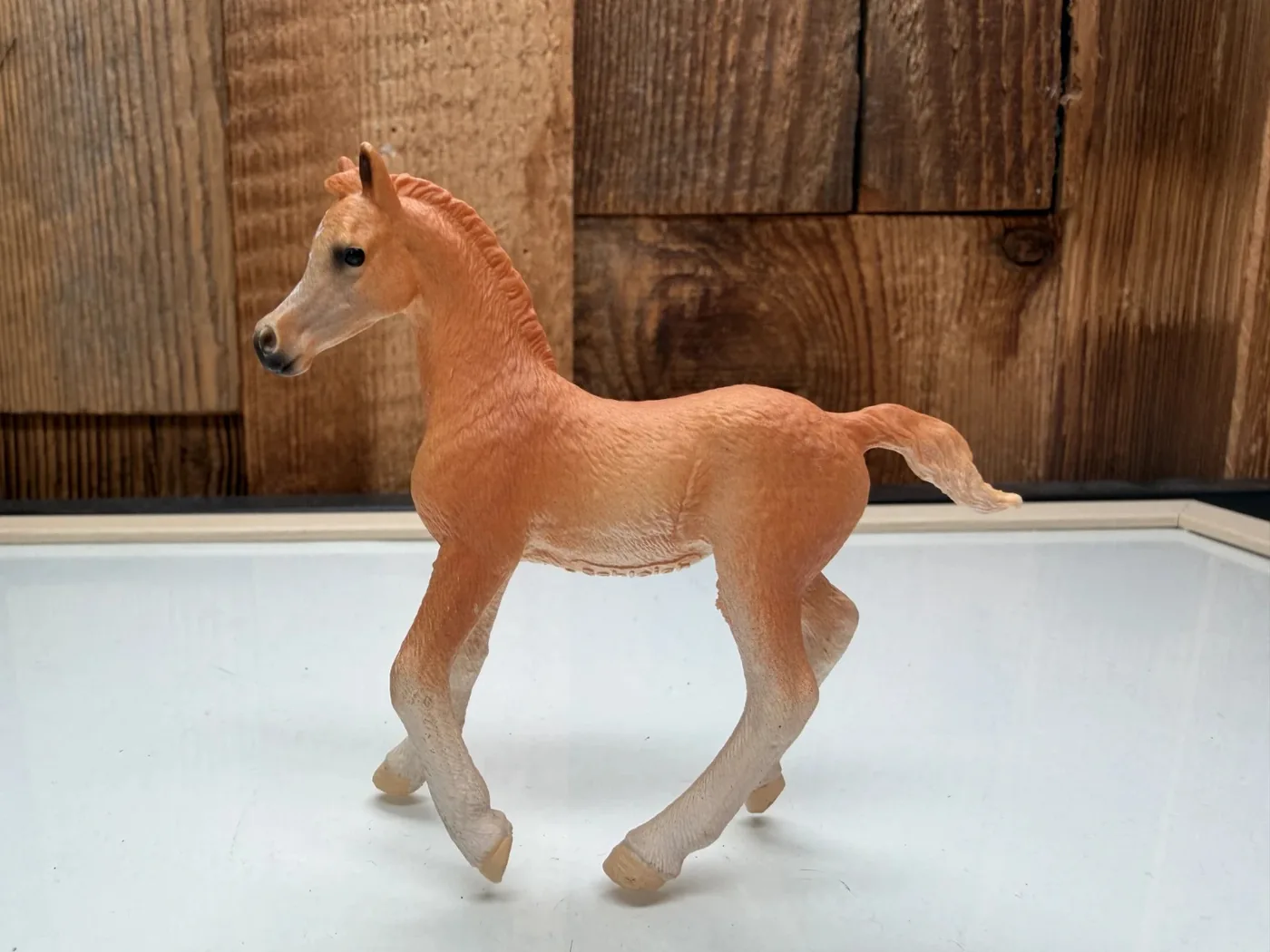 Schleich Horse Club Arabisch Veulen (13984)