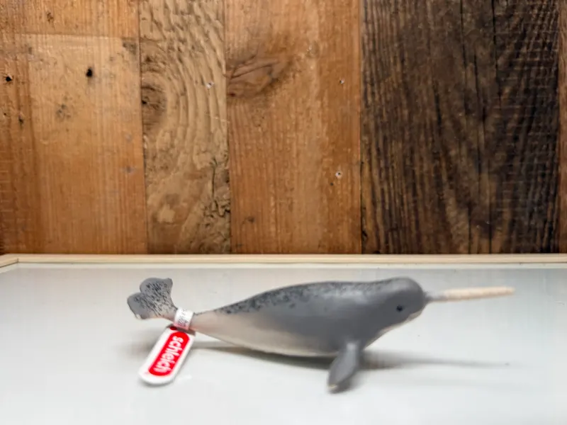 Schleich Narwal