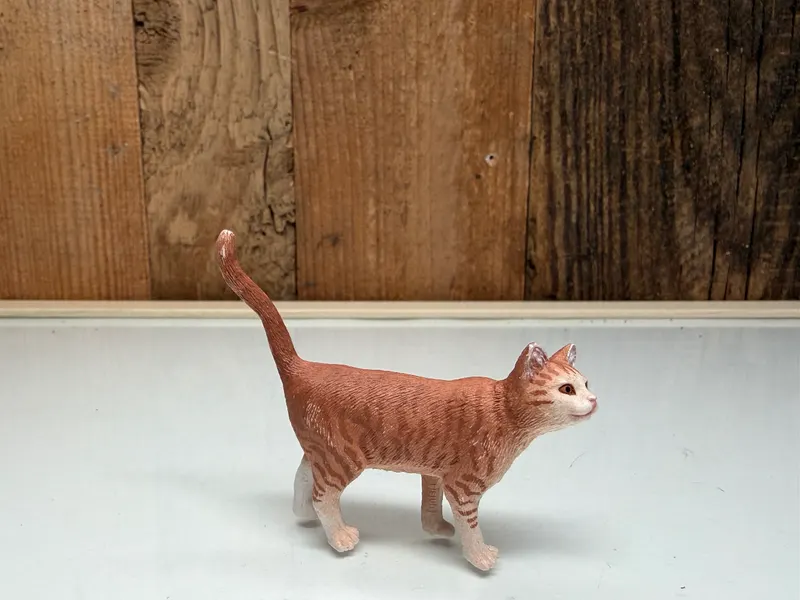 Schleich Farm World Kat Staand (13836)