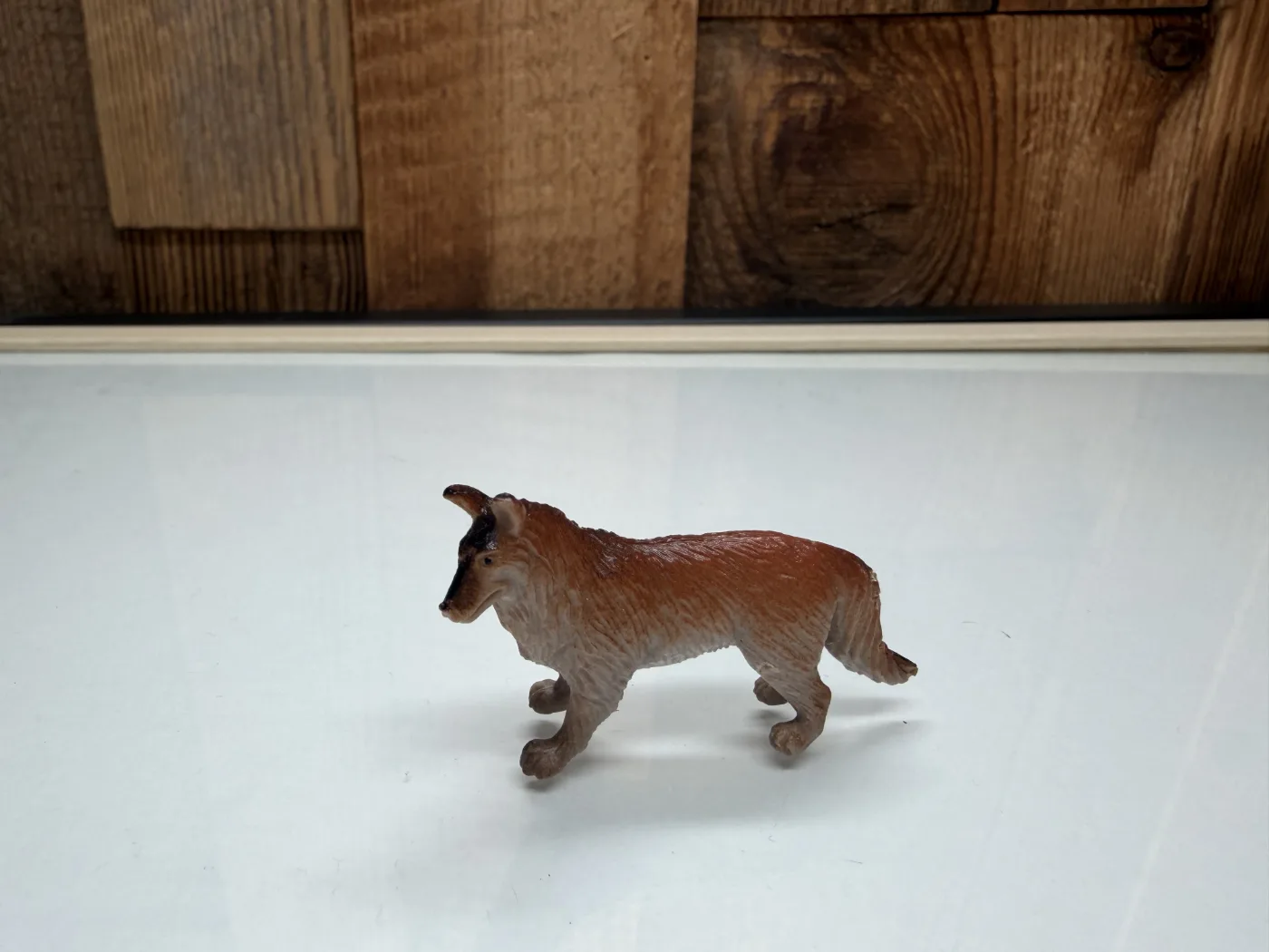 Merk Overig Hond Merkloos (00000)