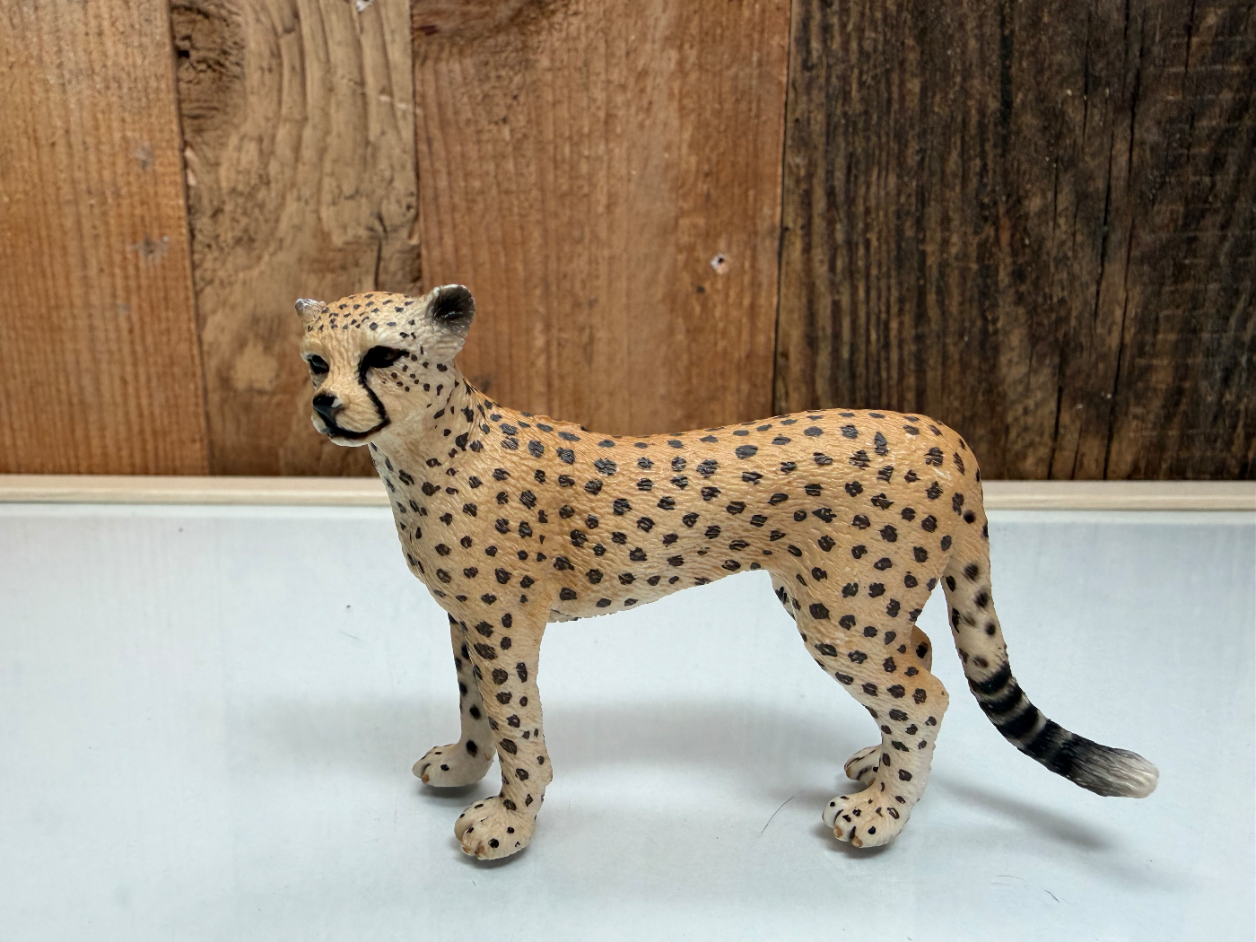 Schleich Wild Life Jachtluipaard Vrouwtje (14614)