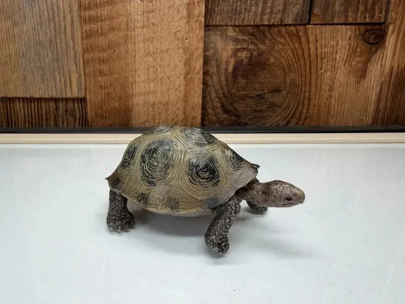Schleich Reuzenschildpad
