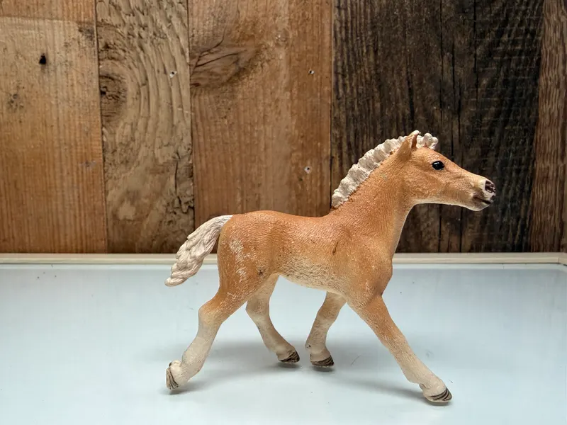 Schleich Horse Club Haflinger Veulen (13814)