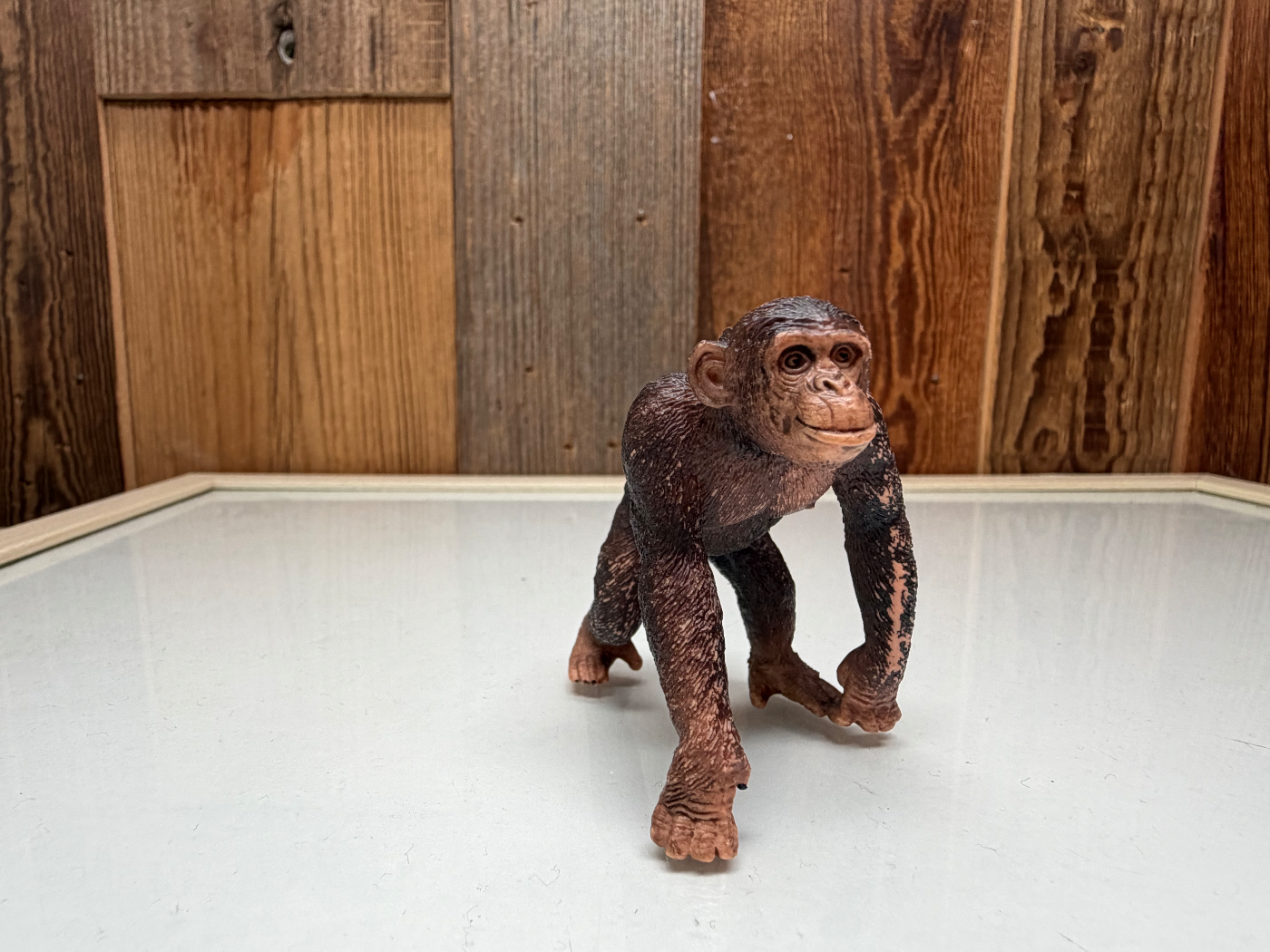 Schleich Wild Life Chimpansee (14817)