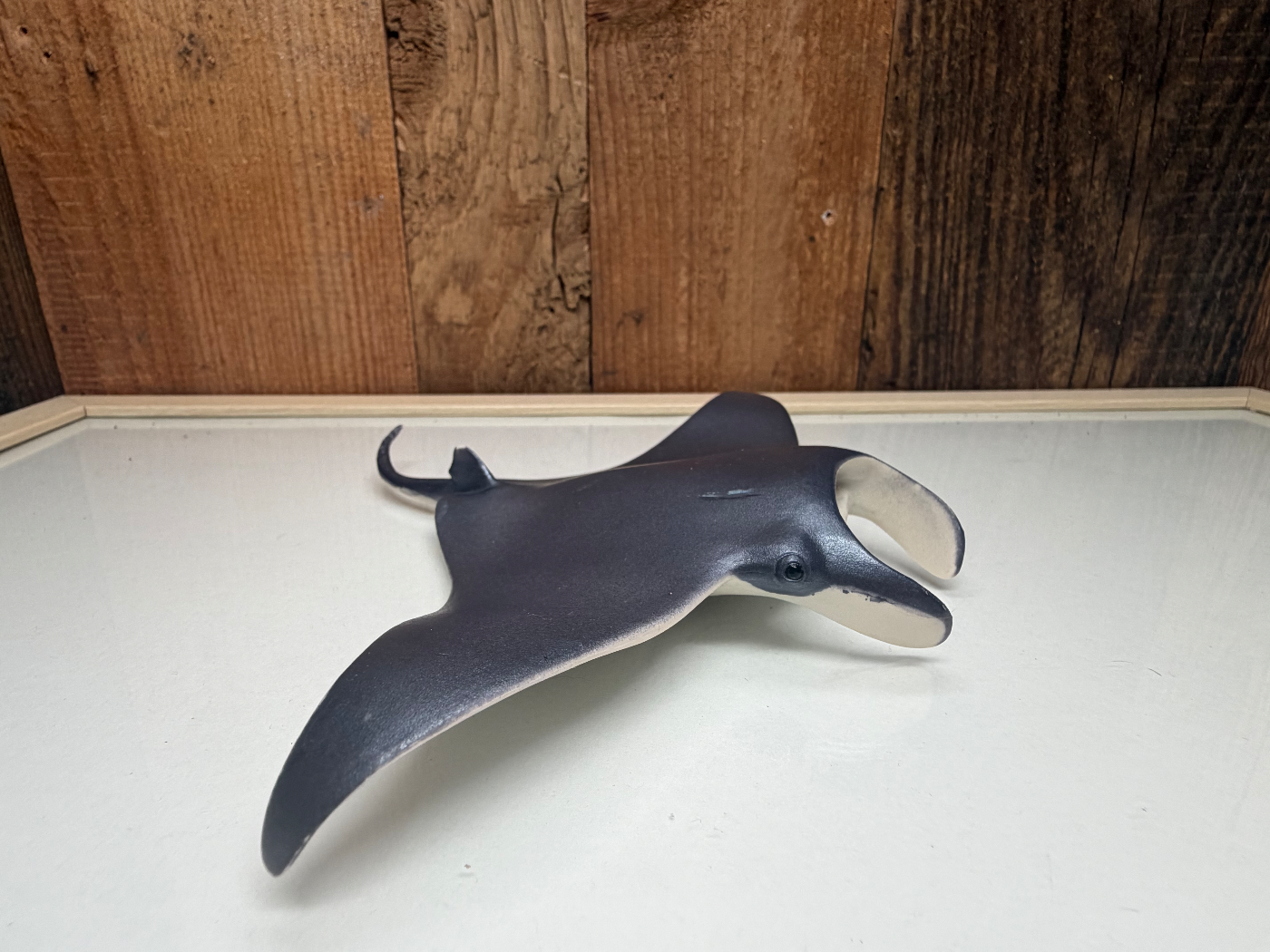 Papo Wild Life Manta Rog (56006)