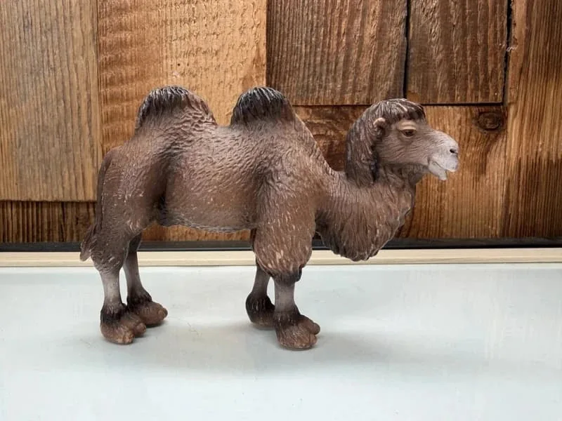 Schleich Kameel