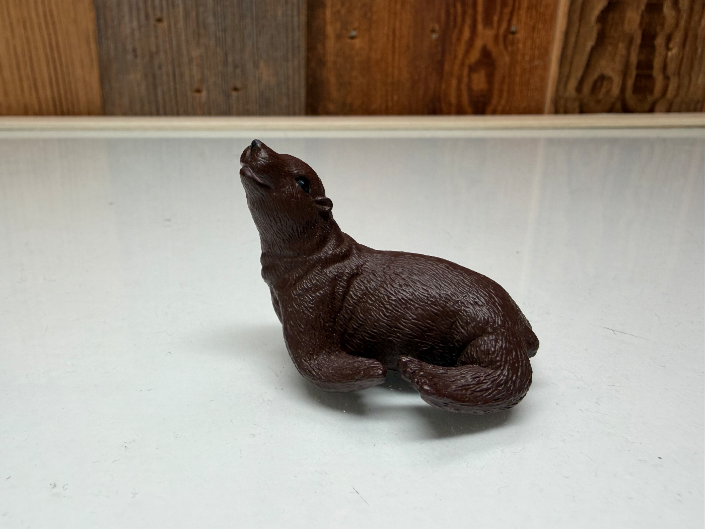 Merk Wild Life Zeeleeuw Merkloos (57826)