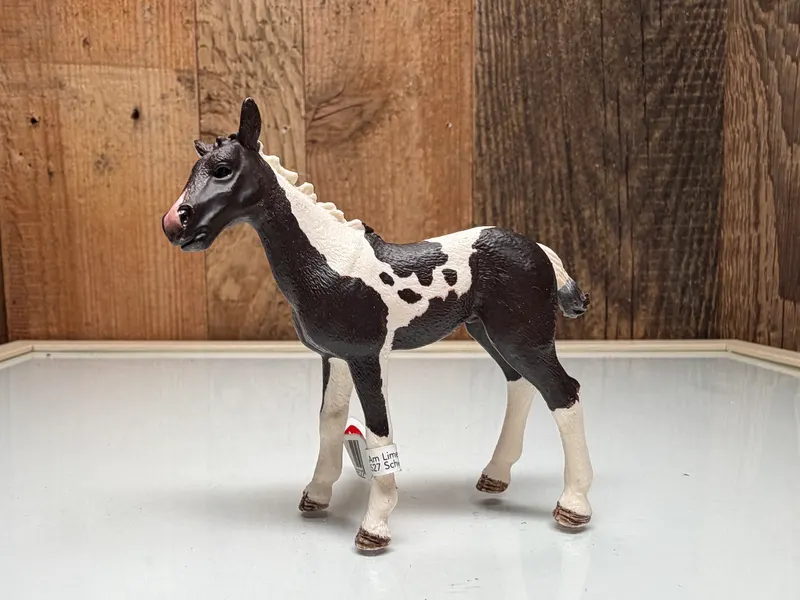 Schleich Pinto Veulen