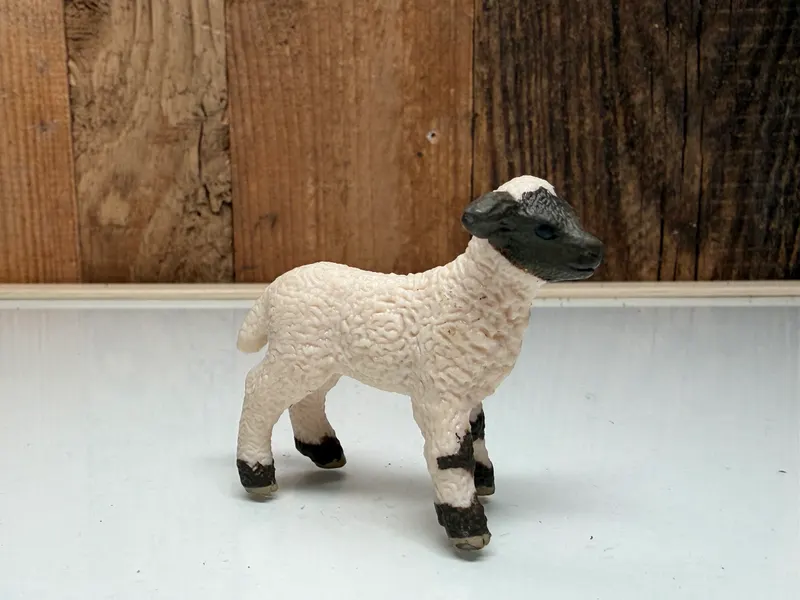 Schleich Farm World Lam (13744)