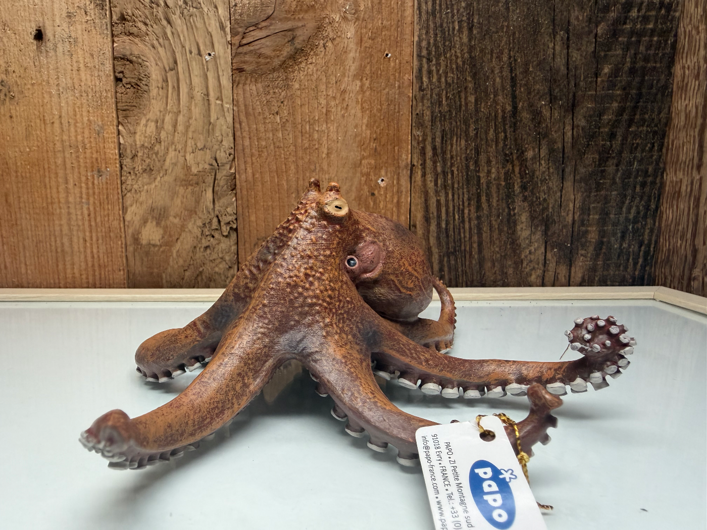 Papo Wild Life Otopus (56013)