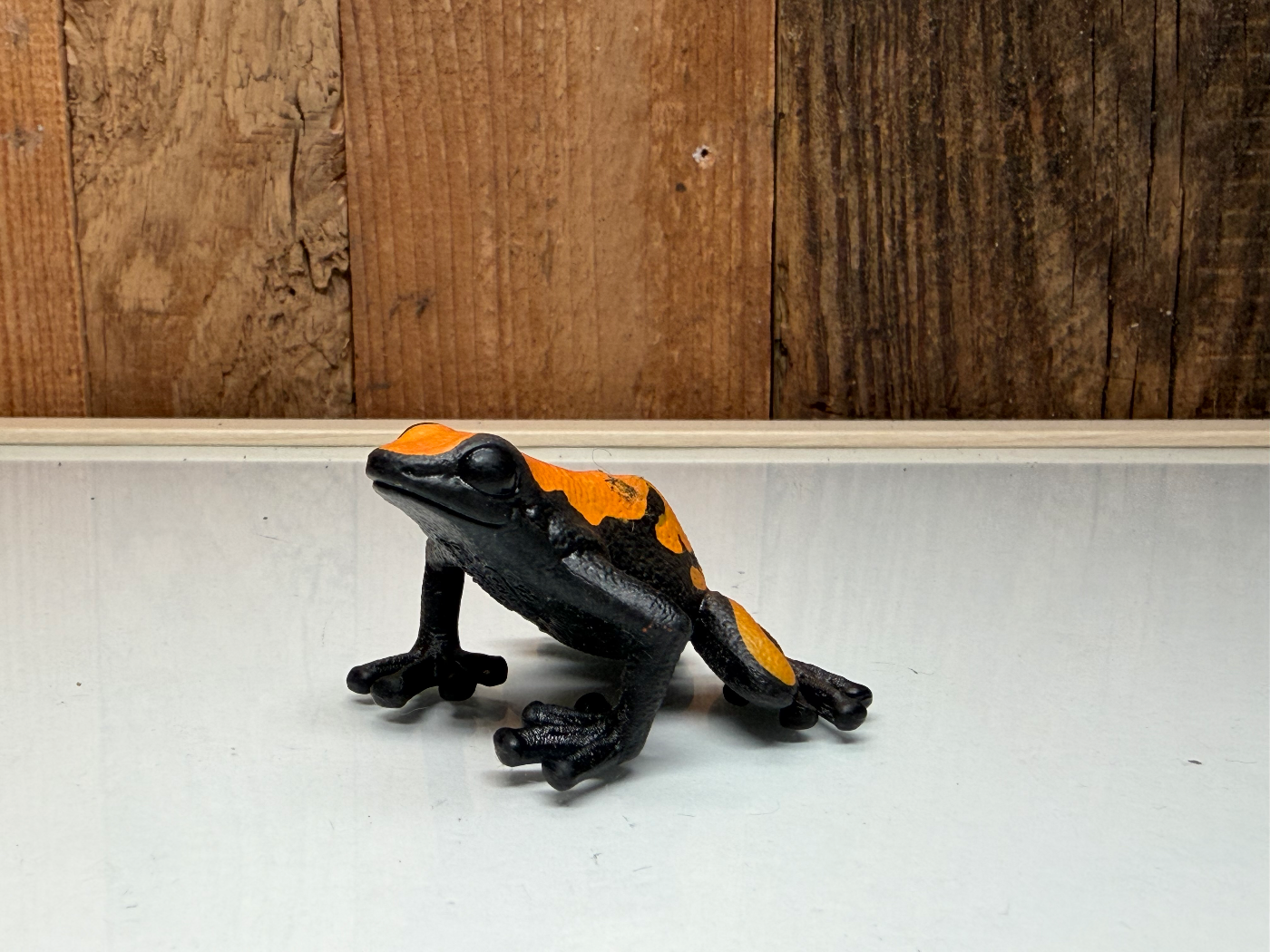 Schleich Wild Life Pijlgifkikker (17122)