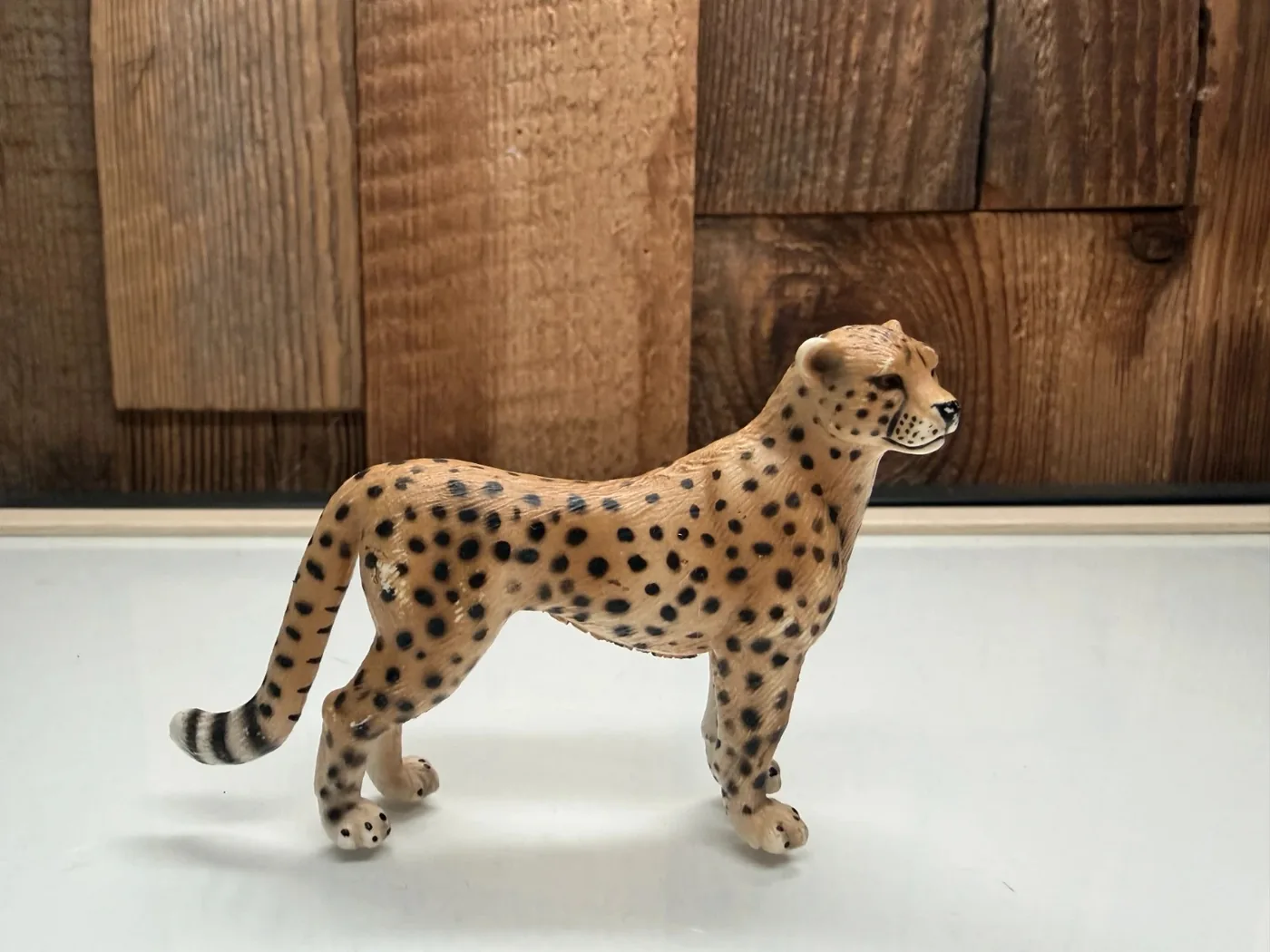 Schleich Wild Life Cheetah (14746)