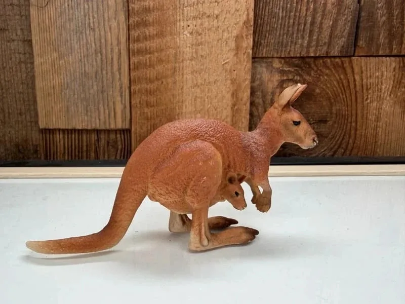 Schleich Kangaroo met Jong
