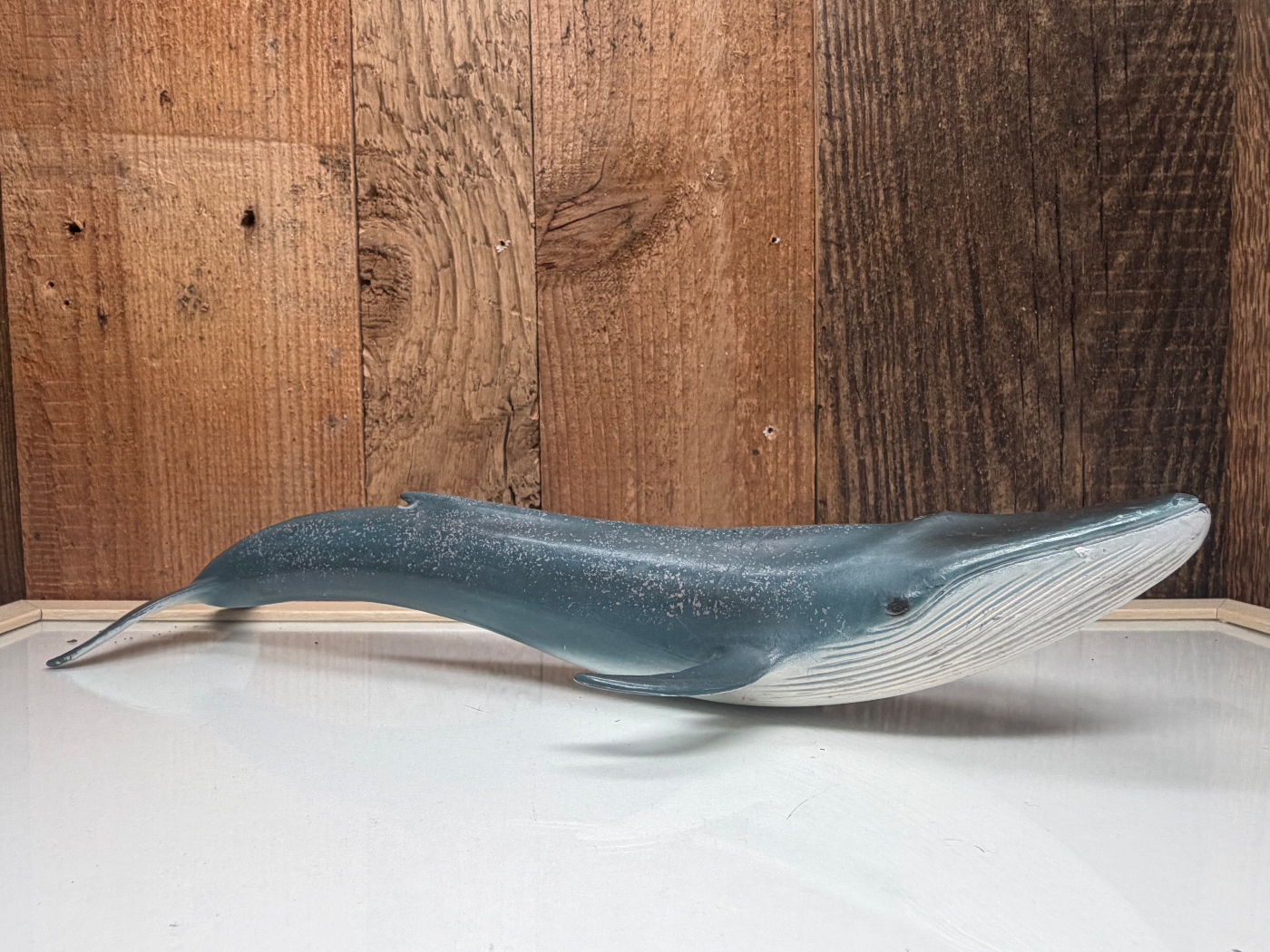 Schleich Blauwe Vinvis
