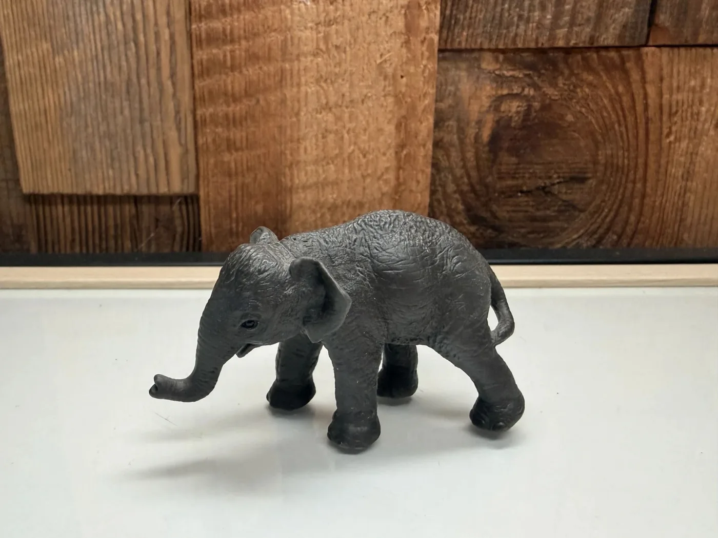 Schleich Wild Life Aziatische Olifant Jong (14343)