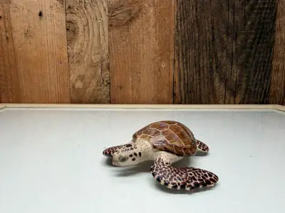 Papo Wild Life Karettschildkröte (56005)