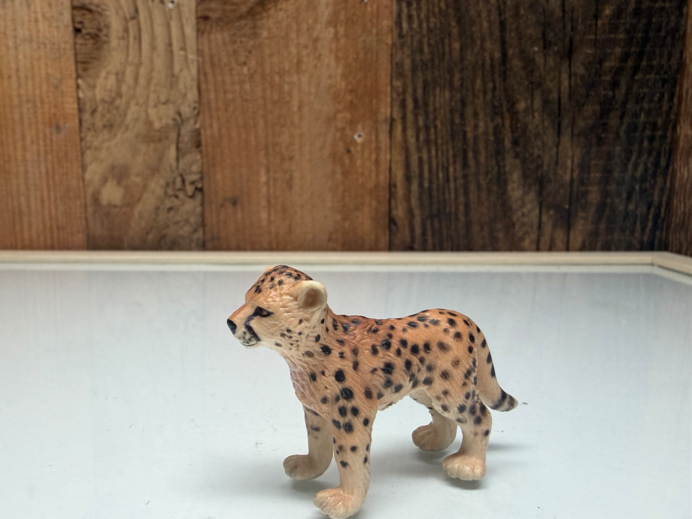 Schleich Cheetah Baby