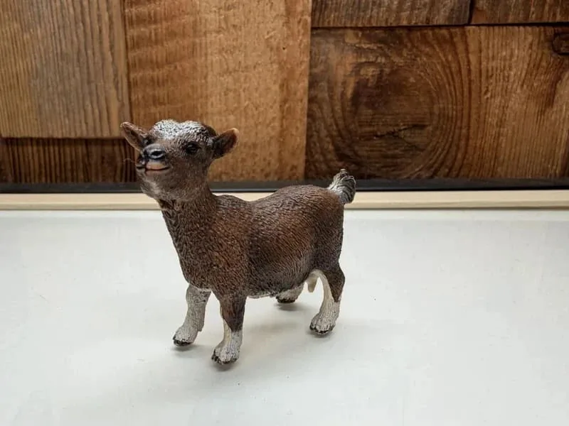 Schleich Farm World Dwerggeit (13715)