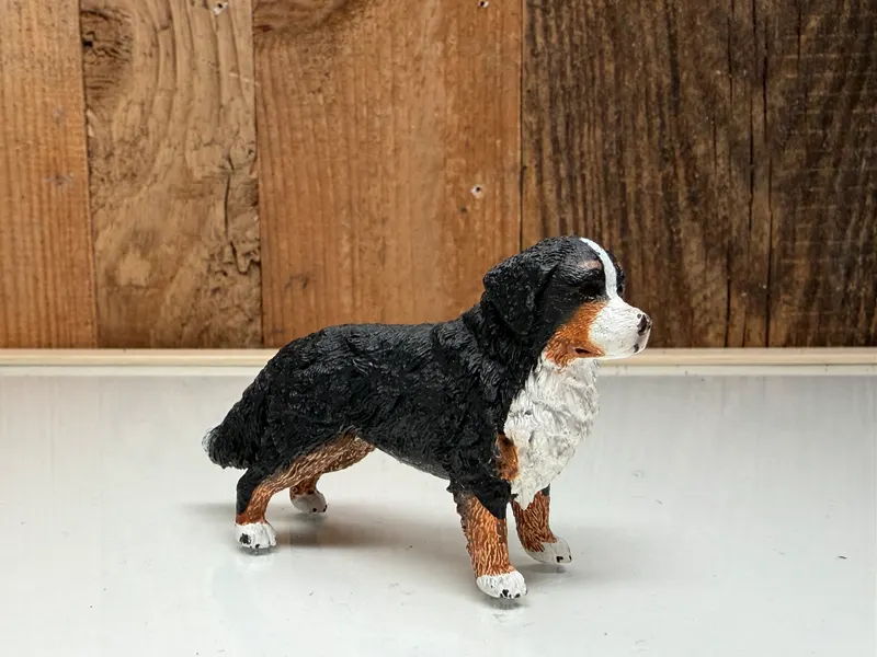 Schleich Farm World Berner Sennenteef (16397)