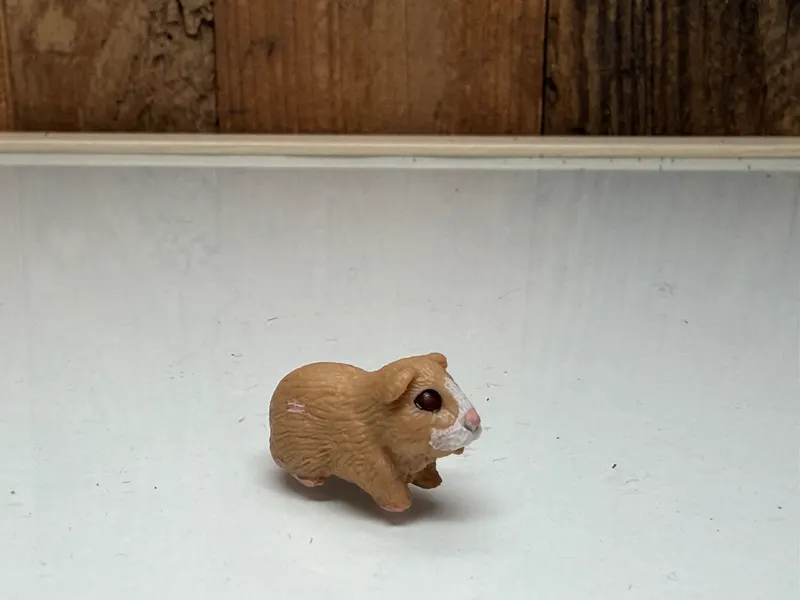 Schleich Cavia