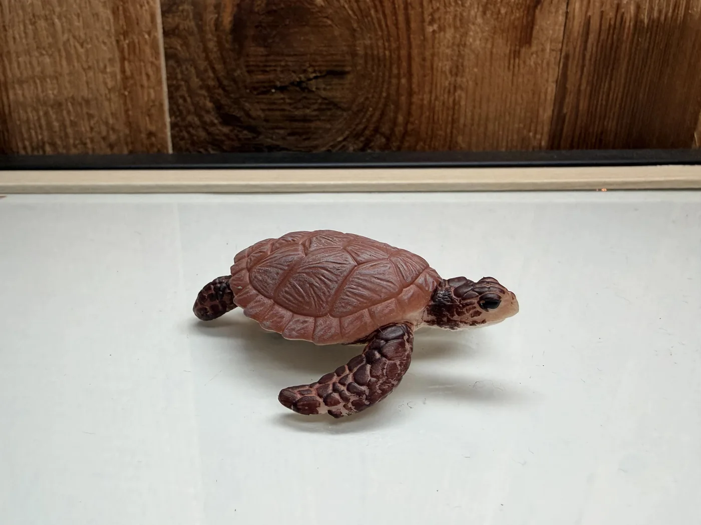 Schleich Karetschildpad