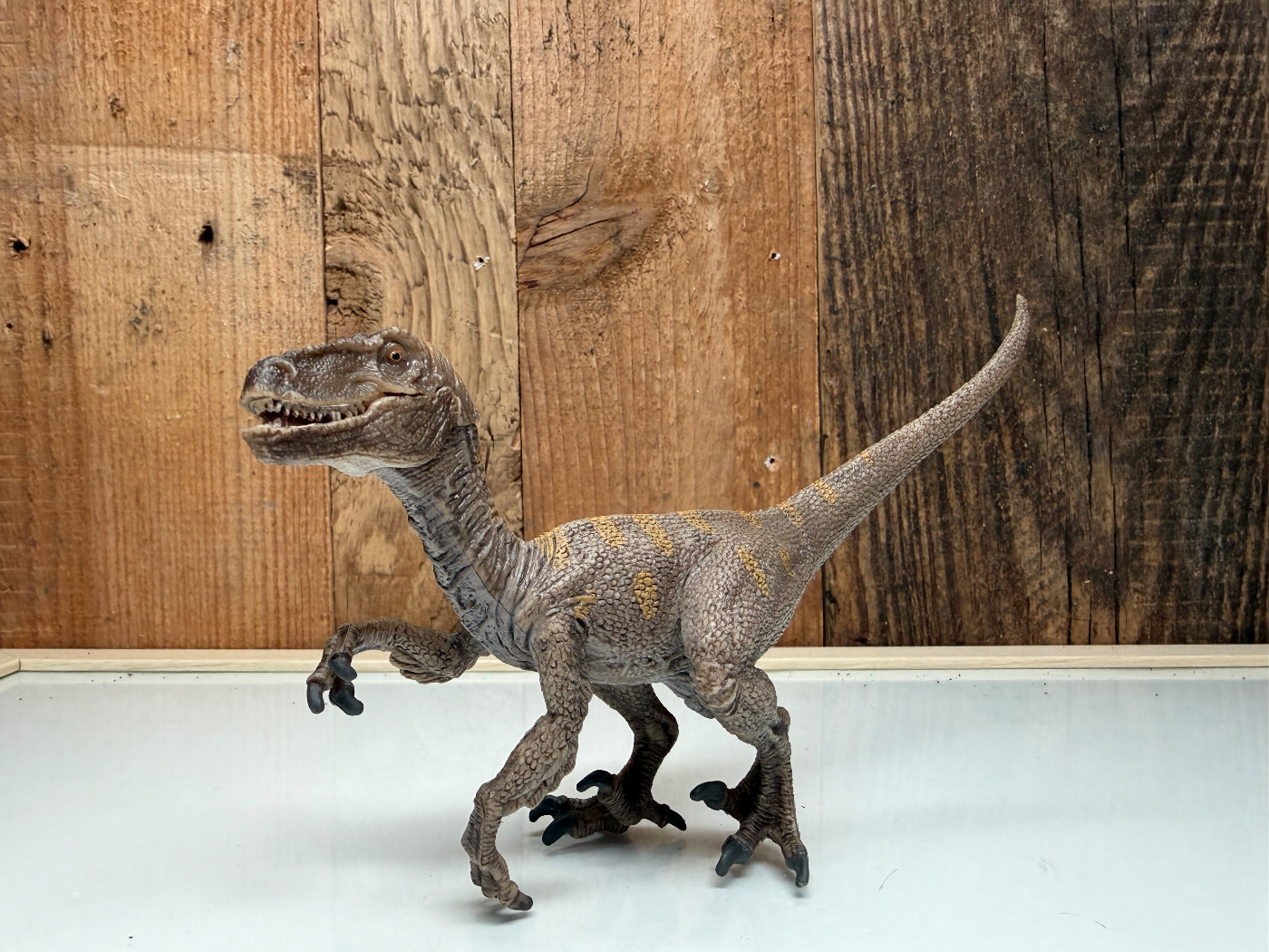 Papo Dinosaurs Velociraptor (55023)